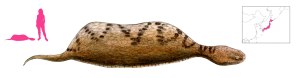 Tsuchinoko final