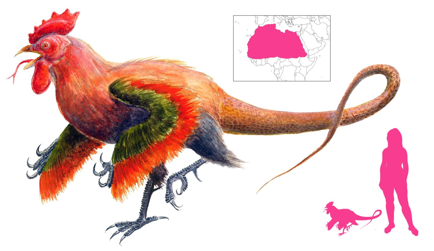 Basilisk | A Book of Creatures