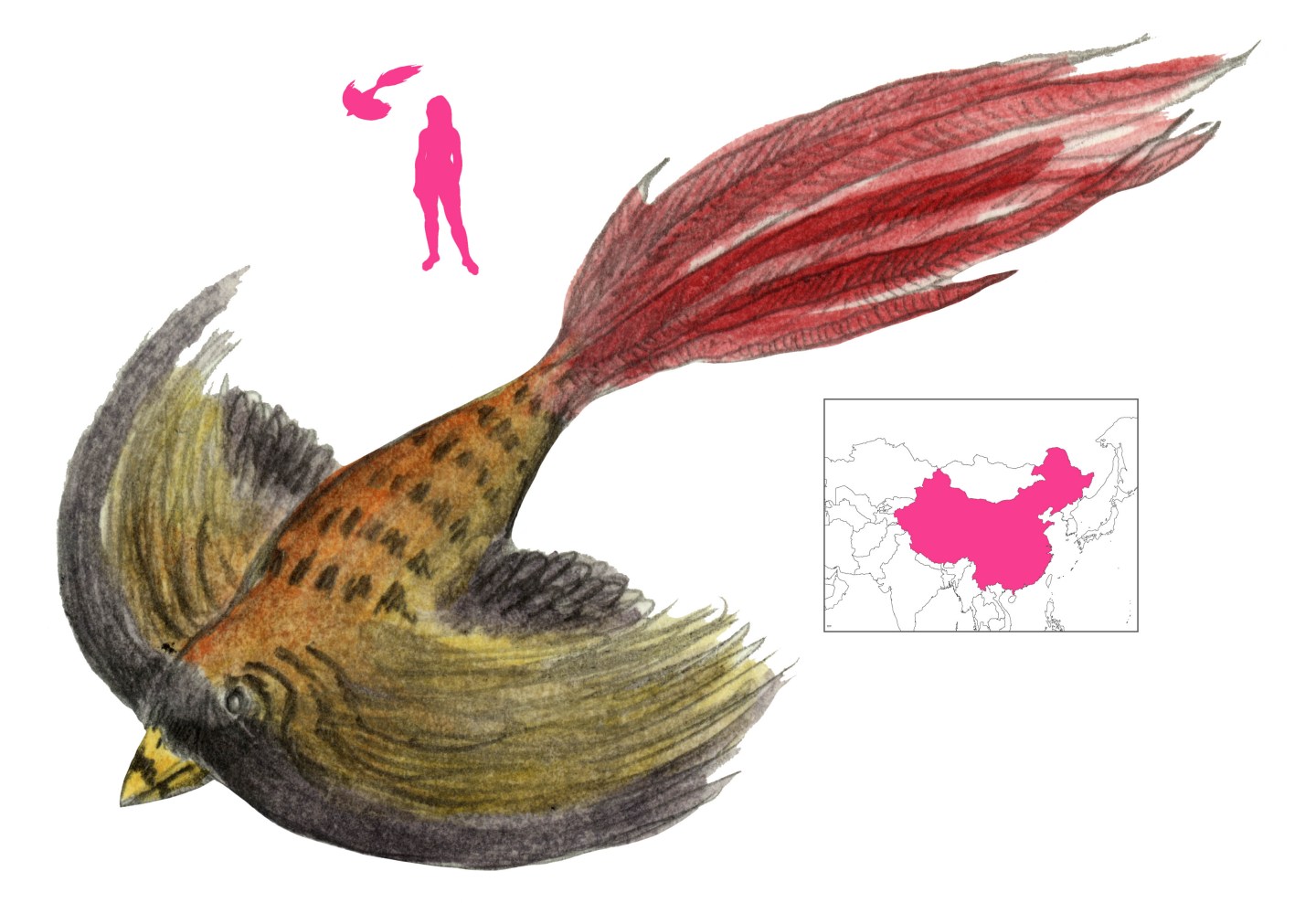 Danghu | A Book of Creatures