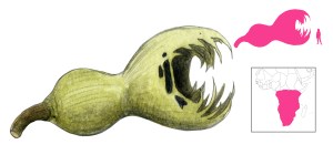 Swallowing Gourd final