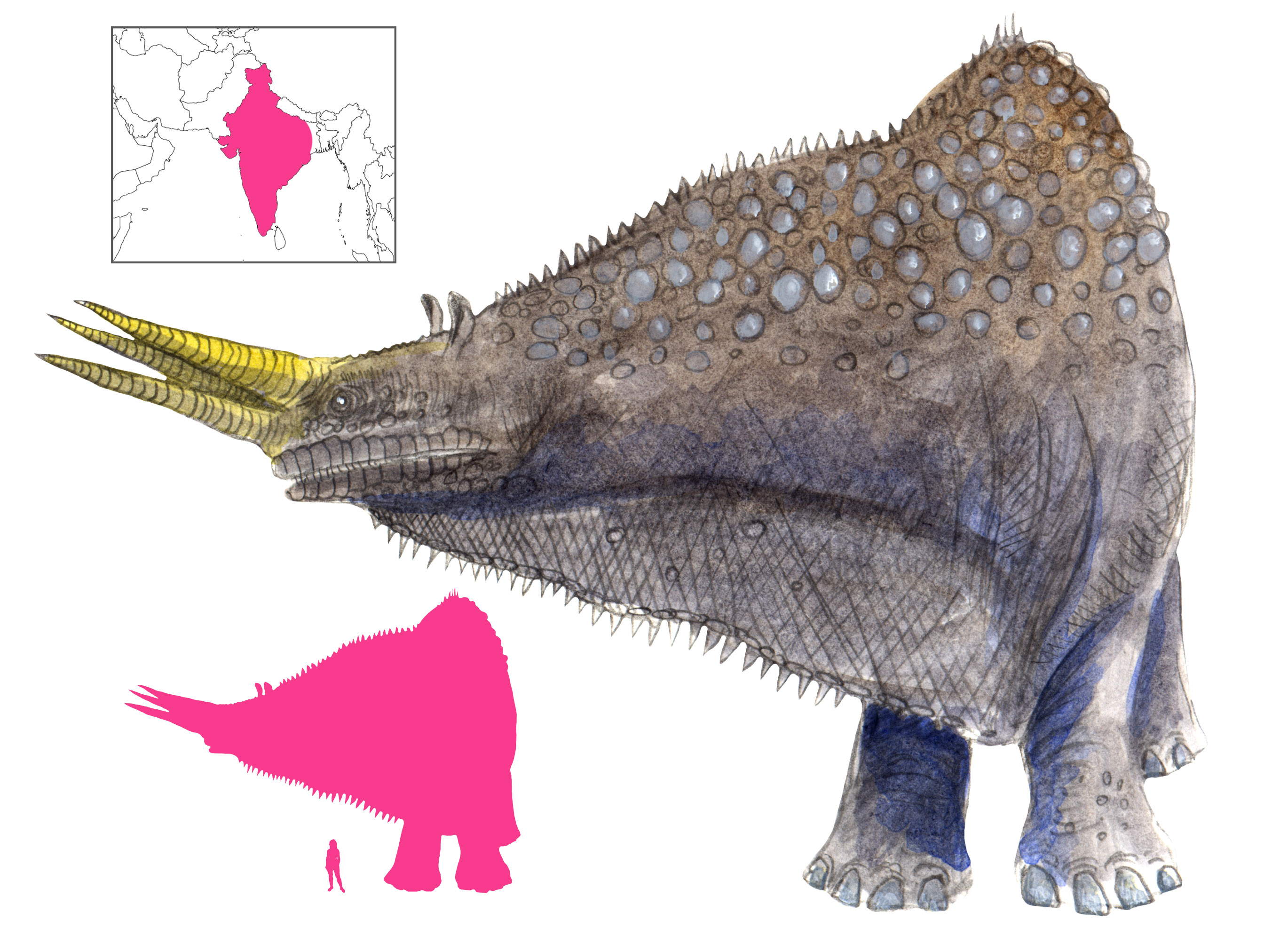 odontotyrannus