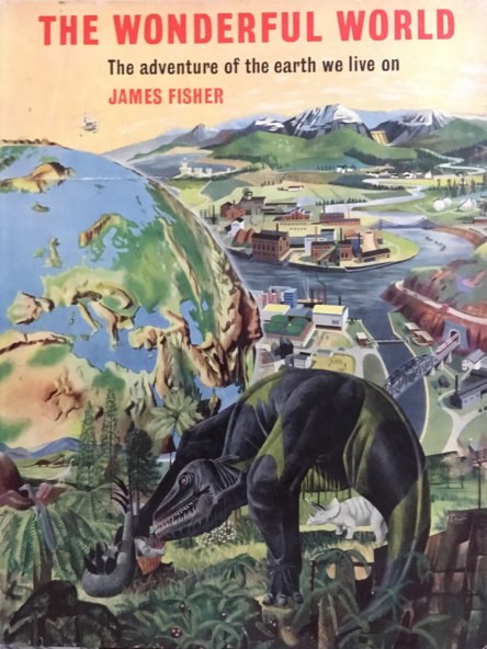 photo-12-14-16-7-20-35-am