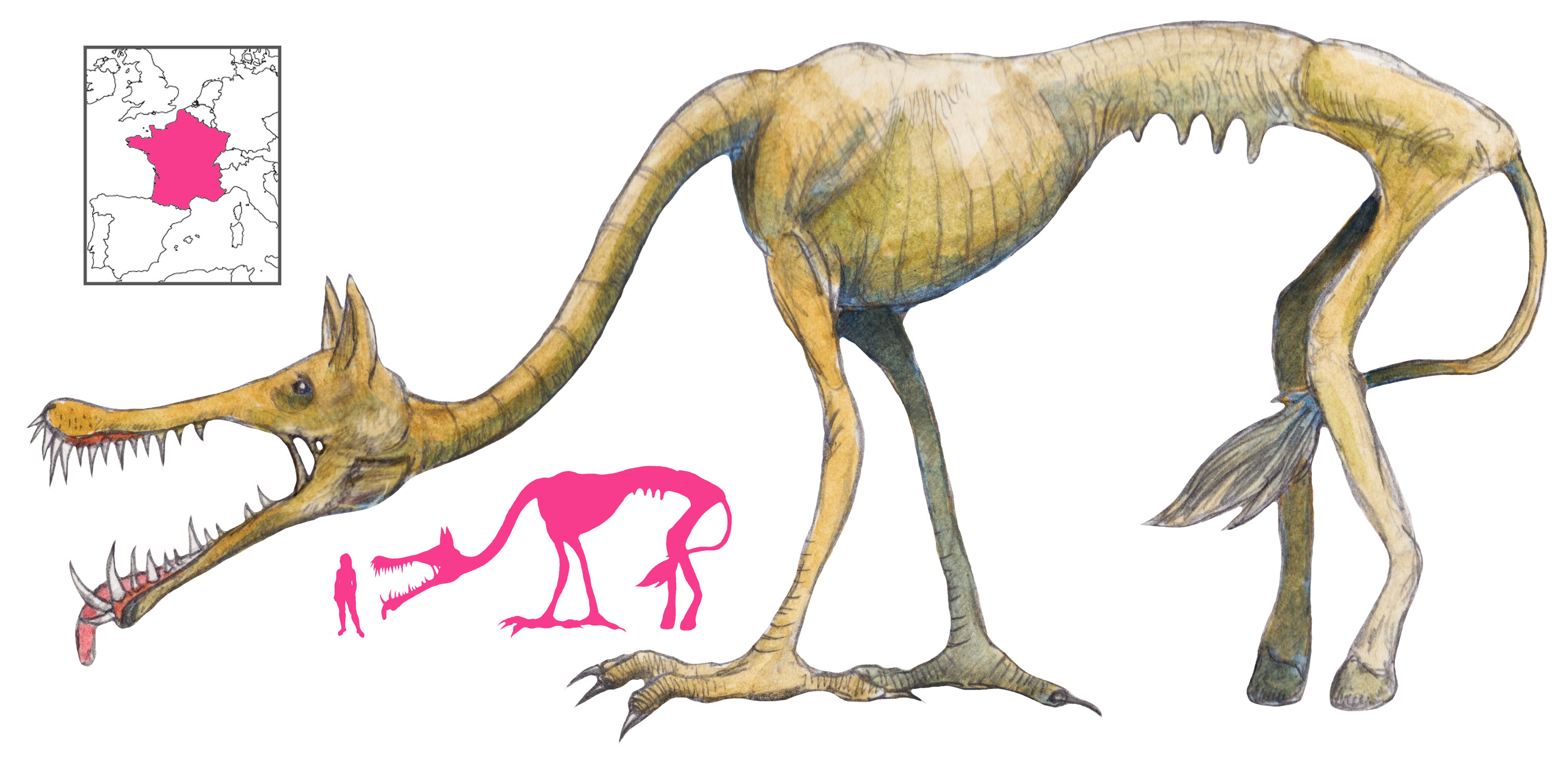 Chicheface | A Book of Creatures