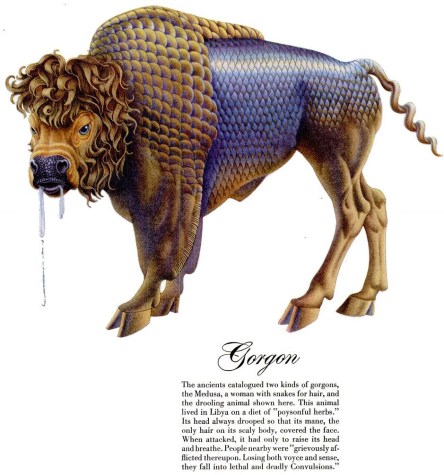 Gorgon