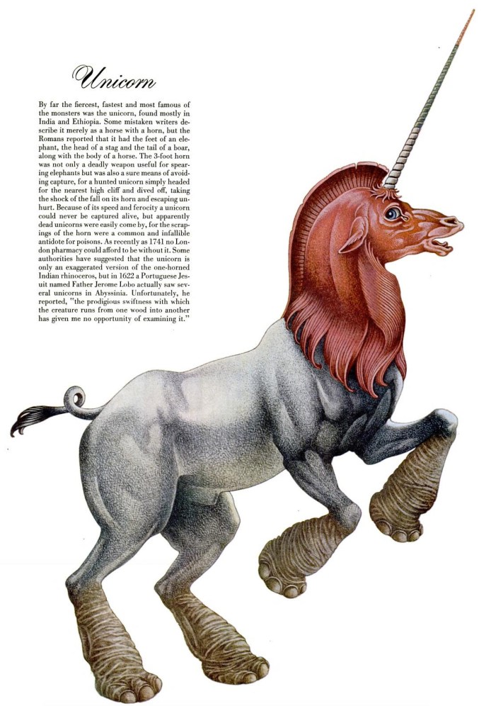 Unicorn