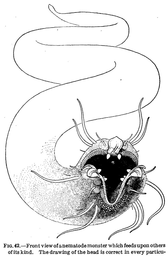 Uncategorized | A Book of Creatures | Page 3