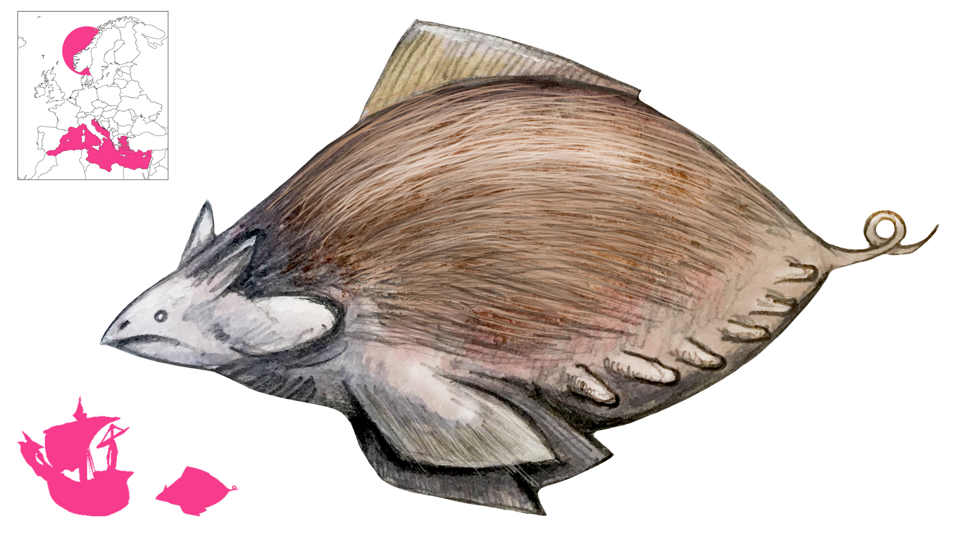 Swamfisk final - Copy