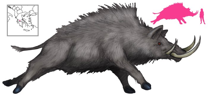 Calydonian Boar