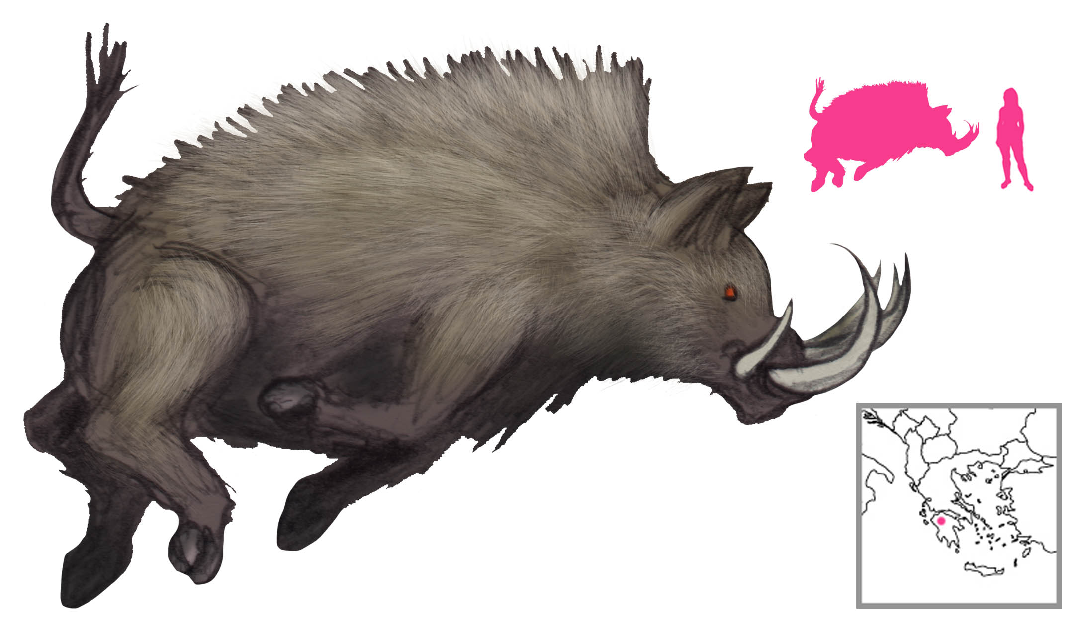 Erymanthian Boar