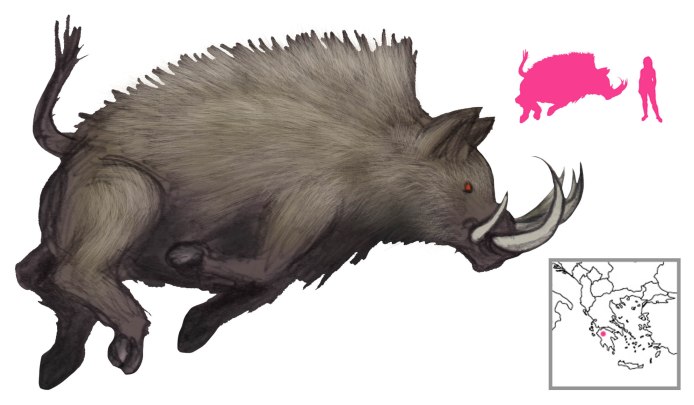Erymanthian Boar